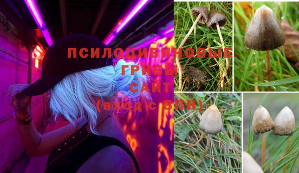 кокаин колумбия Алзамай